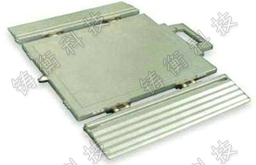 電子平臺(tái)秤